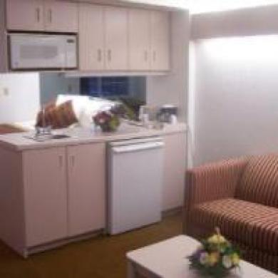 Hotel Microtel & By Wyndham Kansas Airport 2*